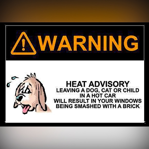 Other - 🐈‍⬛🐕 KEEP EM COOL 🐕‍🦺🐈